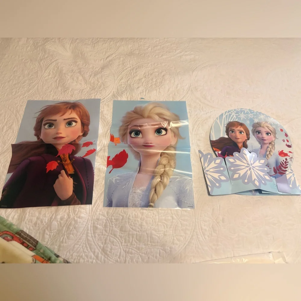 Frozen Themed Party Decorations and Supplies